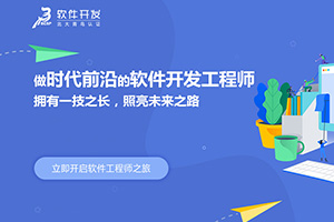 软件开发